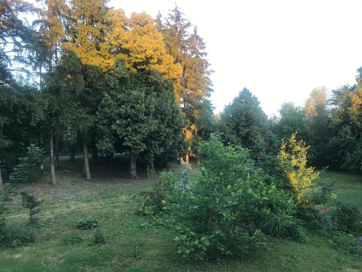 Zabytkowy Drewniany Dom Z 1887 Roku Nowy Dwór Gdański Exteriör bild
